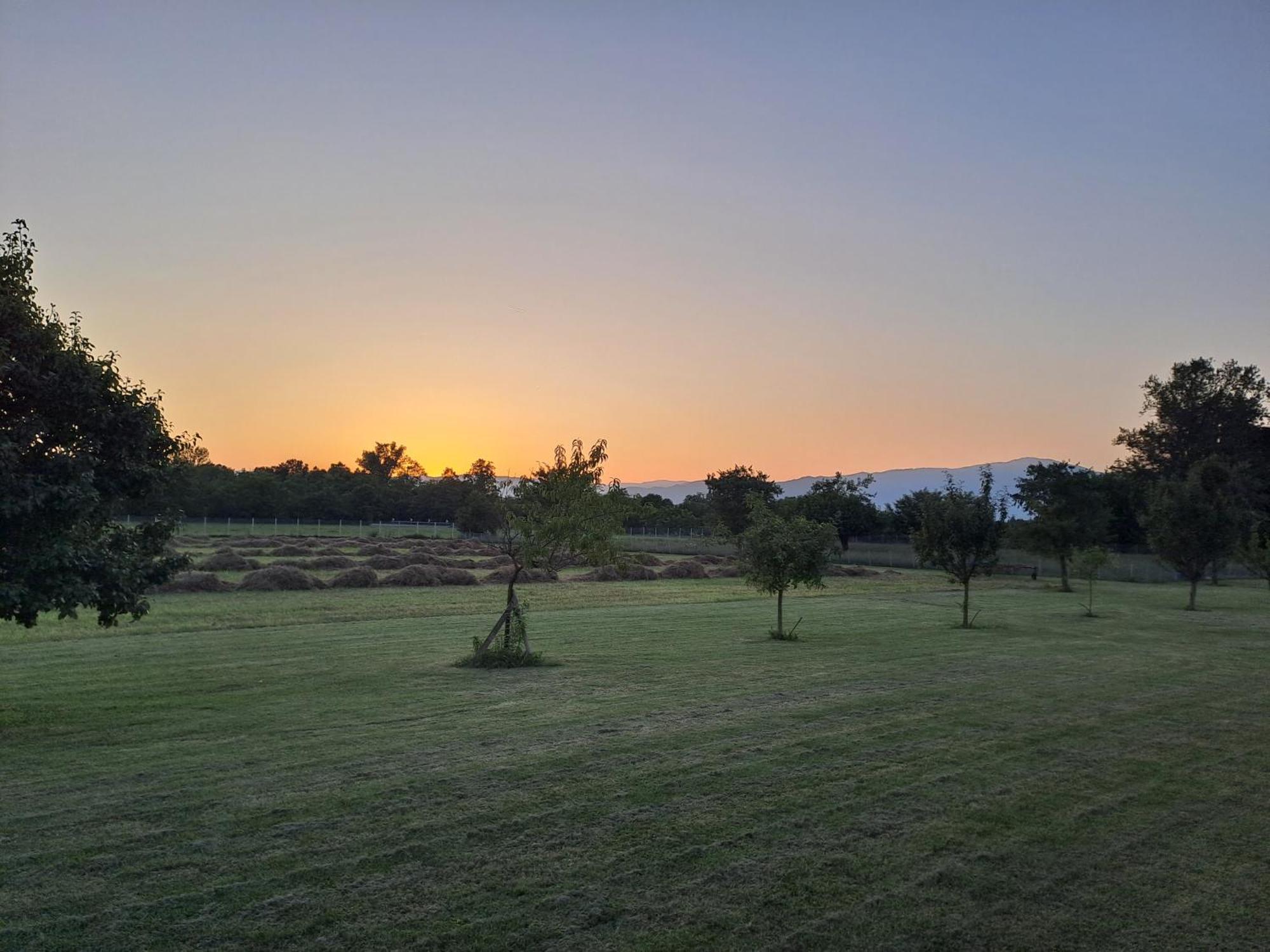Castello Di Godego Azienda Agrituristica Ai Prai מראה חיצוני תמונה